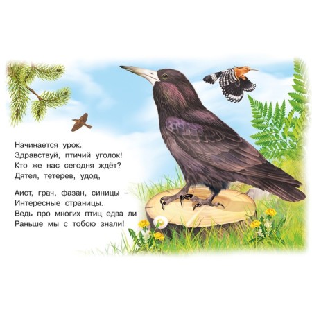 Лесные птицы-2