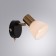 FALENA STALENA 13X17X9 cm, 1x40W E14