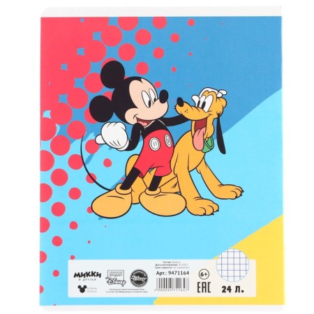 Notebook in a cage 24 sheets, 5 types of mix, cover coated paper, Minnie Mouse-12