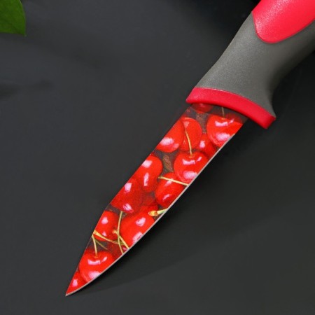 Kitchen knife with an anti -wagoning coating of the valve "cherries", blade 8 cm-1