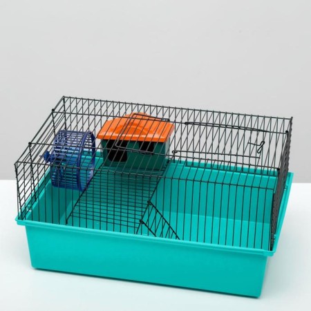 The cage for rodents "Pigzon" No. 4, with a floor, equipped, 37x26x18 cm, turquoise-3