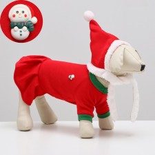 New Year's costume 