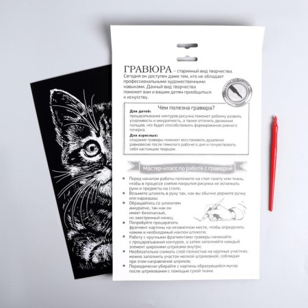 Engraving "kitten" with a metallic effect "silver" A4-4