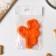 The cookie form “Bunny rides on carrots”, cutting, stamp, color orange