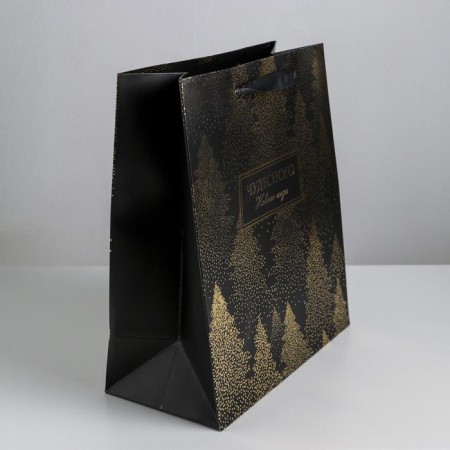 Laminated vertical package "Wonderful New Year", Ml 23 x 27 x 11.5 cm, New Year-1
