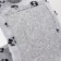 Clawing "Piggon" carpet, 30 x 58 x 82 cm, gray