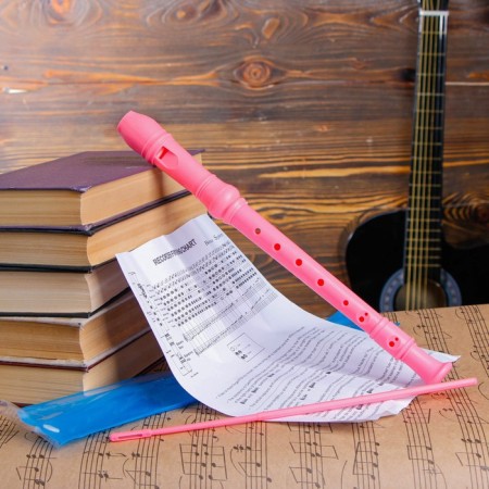 Music Life Blockflate, 8 holes, German system, soprano, pink-1