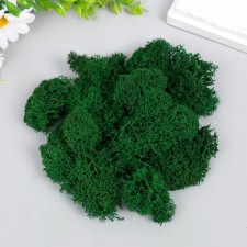Stabilized moss 