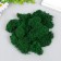 Stabilized moss "spruce" 45 grams (+-5 gr)