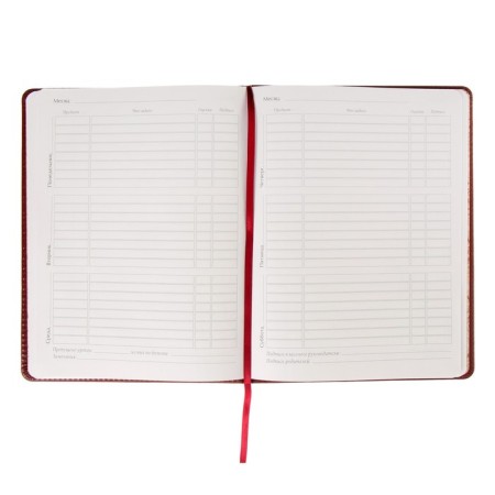 Universal diary for grades 1-11, 48 sheets of Sidney Nebraska, solid cover, artificial leather, thermoting, liesse, block 70 g/m2, brown-2