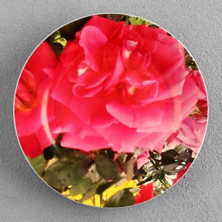 Decorative plate "Rose", D = 17.5 cm-2