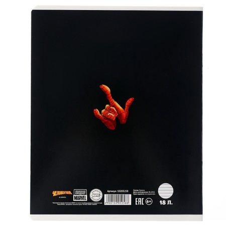 Notebook in a line of 18 sheets, 5 types of mix, cover coated cardboard, spider-man-7