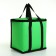 Tarmosumka with lightning, 18 l, green color