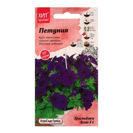 Flowers of Petunia "Blue", 5 pcs