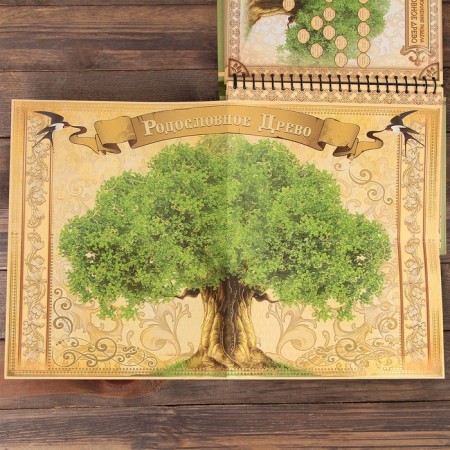 The genealogy book "Family Chronicle", 30 sheets, 24.5 x 29.2 cm-16