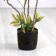 Artificial tree "acacia" in a pot, 90 cm