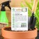 Seeds Cabbage Color "Autumn Giant", 0.1 g Series Hit X3