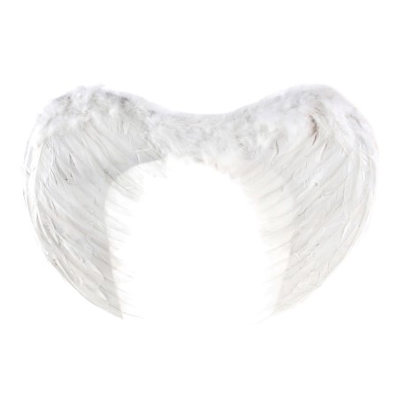 Angel wings, 55 × 40 cm, white color