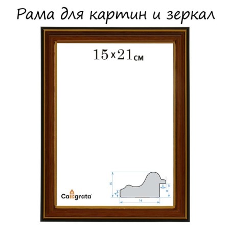 Frame for paintings (mirrors) 15 x 21 x 2.0 cm, plastic, calligrata plv, alder