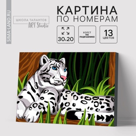 Picture on numbers on a canvas with a sniper "Snow Bars" 20x30 cm