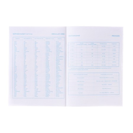 Notebook for recording foreign words a6 24l capybara, regional charts, BL of 65g/m²-3