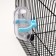 Drill for rodents, 60 ml, transparent with blue mount