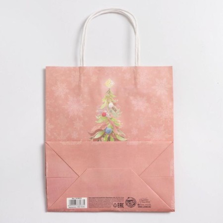 Package Gift Craft "New Year Dreams", 22 x 25 x 12 cm, New Year-4