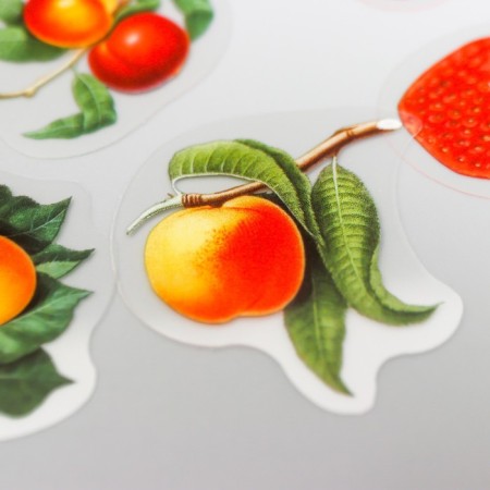 Stickers for creativity "Berries in a jar" set of 35 pcs 13.4x9 cm-3