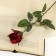 Artificial flowers "rose" 63 cm, d-5 cm, red