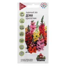 Antirrinum seeds (lion Zev) 