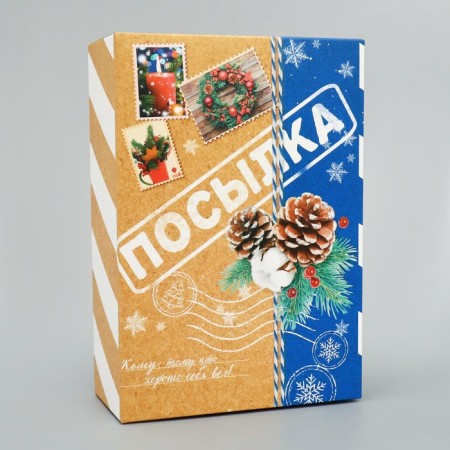 Folding box "Parcel", 16 x 23 x 7.5 cm, New Year-1