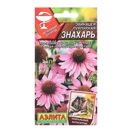 Echinacea seeds purple healer L. Og. C/n 0.3 g