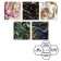 Notebook of 48 sheets in the Calligrata Top "marble" cage, cover coated cardboard, twin-lak, offset unit, whiteness 95%, mix
