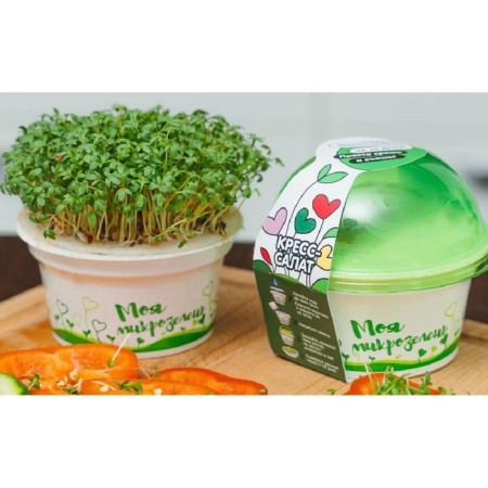Set for growing "My Microside", Korses Salates-4