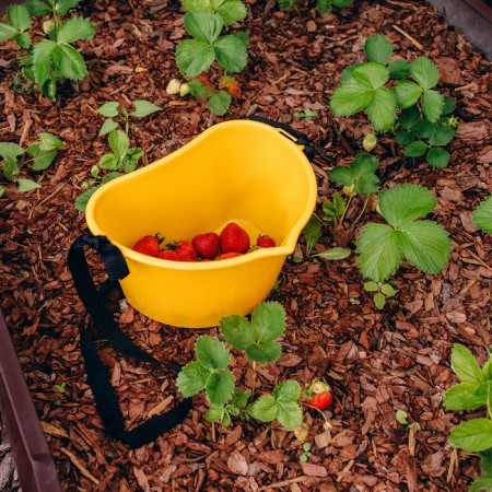 Berry collection container, 3 l, yellow-13