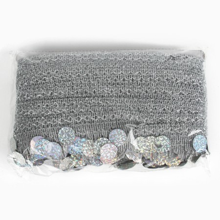Braid with coins, holography, silver corners, in a roll 20 meters-3
