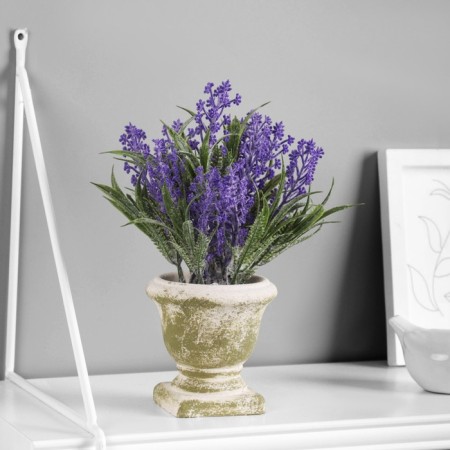 Bonsai "Lavender Mini Extra" 8x17 cm, lilac
