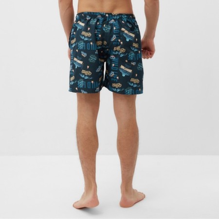 Male bathing panties KAFTAN "Mountains", size 52-3
