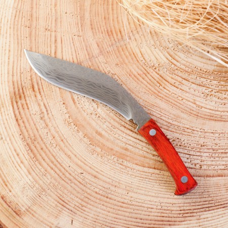 Curkri knife souvenir "Damascus" 12.5cm, blade 80mm/2mmm