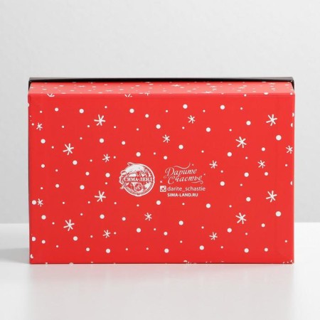 Gift box "with NG", 26 x 17 x 10 cm, new year-4
