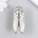 Handle for the casket metal "Cicada" silver