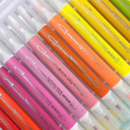 Fleeters 24 colors Black Excellence, in a plastic pen.-3
