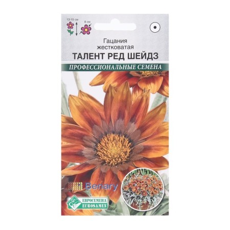 Flowers of hatsiya flowers harsh talent Red Shaids, 5 pcs
