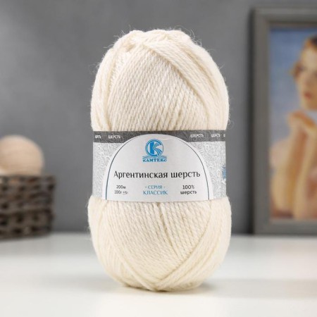 Yarn "Argentinean wool" 100% imported wool 200m/100g (205, white)
