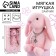 Soft toy "The most beautiful", bunny