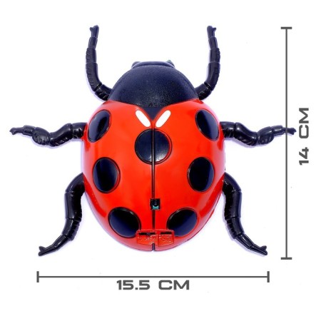 The beetle on the Radio Management "God's ladybug" crawls along the wall-1