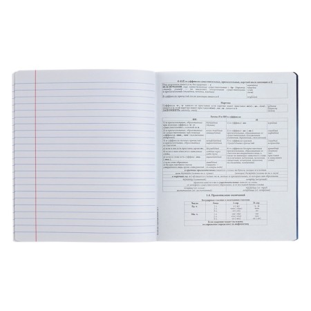 Subject notebook, 48 sheets, ruler, Russian language, Erichkrause "Manga", cardboard cover of Twin-lax, block offset 100%, information block-5