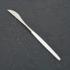 Stainless steel knife Magistro 