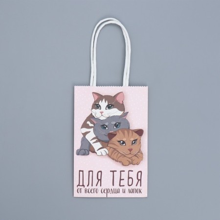 Gift Crafts, Packaging, “Gift for You”, 15 x 10 x 6 cm-4