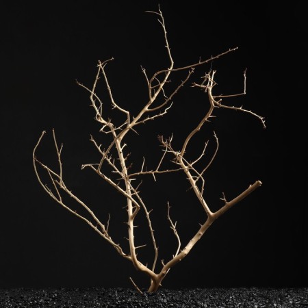 Carry for the Aquarium "Sakura", 45 - 55 cm
